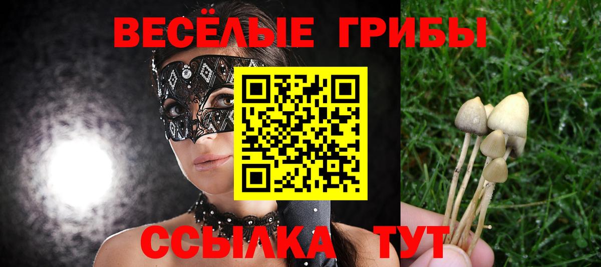 Псилоцибиновые грибы мухоморы Киров