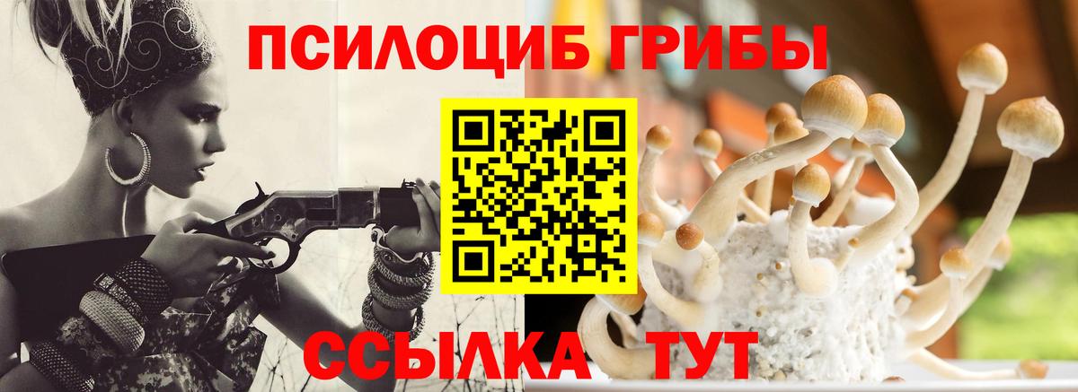 Псилоцибиновые грибы мицелий  Вход с VPN  Киров 